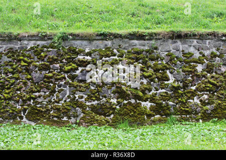 Eine Steinmauer mit künstlerischen Adern, über das Moos wächst. Stockfoto