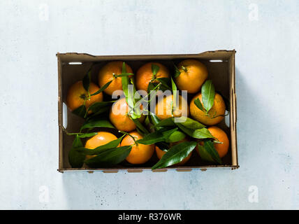 Frische Mandarinen Obst oder Mandarinen mit Blättern im Holzkasten, Ansicht von oben Stockfoto
