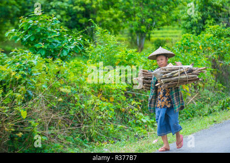 Laotischer Bauer auf der Landseite in der Nähe von Luang Prabang Laos Stockfoto