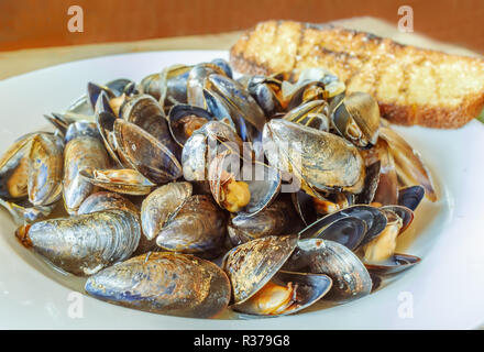 Weiß Teller voller dampfende Gekochte Miesmuscheln mit offenen Tanks in einer leckeren Soße, serviert mit geröstetem Knoblauch Sauerteig auf einem Holztisch Stockfoto