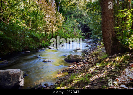 Kleiner Fluss im Wald mit Steinen und stream Rapids, glatte Wasser durch die Langzeitbelichtung, Natur Hintergrund mit Kopie Raum Stockfoto