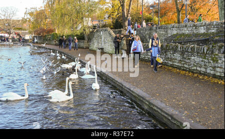 WINDSOR, ENGLAND - NOVEMBER 2018: Menschen zu Fuß auf dem Fußweg entlang der Themse in Windsor mit Schwänen neben dem Pfad. Stockfoto