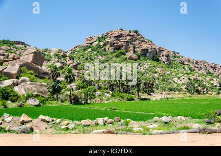 Reisfelder inmitten Haufen Geröll an Anegundi, Karnataka, Indien. Stockfoto