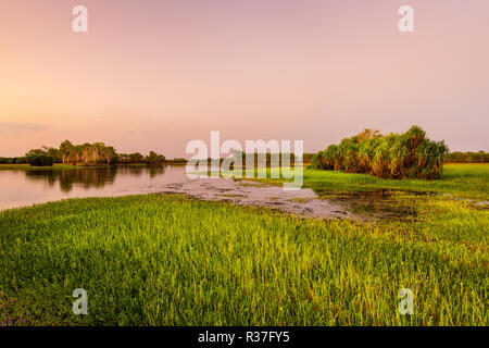 Gelbe Wasser im letzten Licht des Tages. Stockfoto