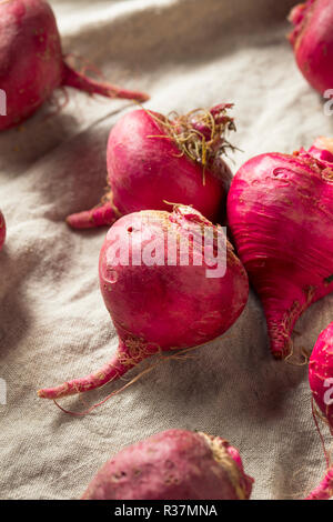 Rosa und Rote Rüben Wurzeln bereit zu Kochen Stockfoto