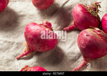 Rosa und Rote Rüben Wurzeln bereit zu Kochen Stockfoto