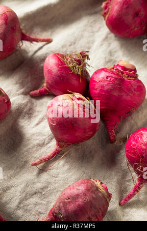 Rosa und Rote Rüben Wurzeln bereit zu Kochen Stockfoto