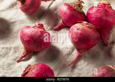 Rosa und Rote Rüben Wurzeln bereit zu Kochen Stockfoto