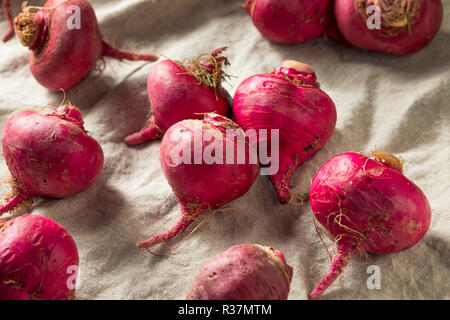 Rosa und Rote Rüben Wurzeln bereit zu Kochen Stockfoto