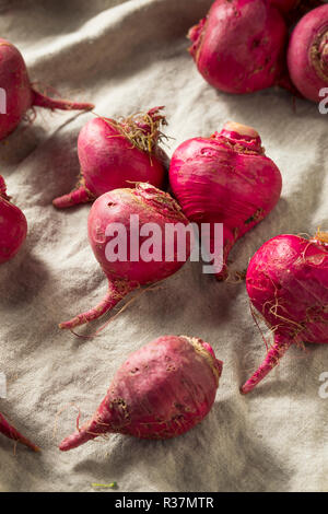 Rosa und Rote Rüben Wurzeln bereit zu Kochen Stockfoto