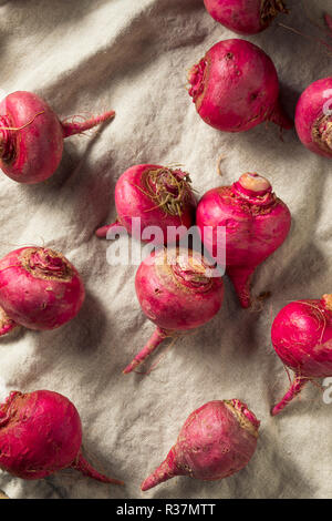 Rosa und Rote Rüben Wurzeln bereit zu Kochen Stockfoto