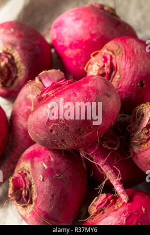 Rosa und Rote Rüben Wurzeln bereit zu Kochen Stockfoto