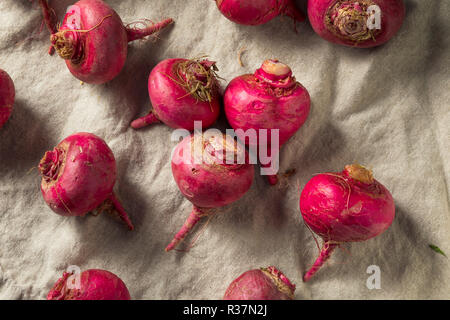 Rosa und Rote Rüben Wurzeln bereit zu Kochen Stockfoto