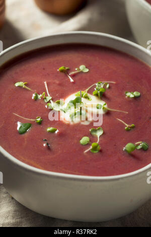 Hausgemachte Lila Kartoffel Suppe mit Toast Stockfoto