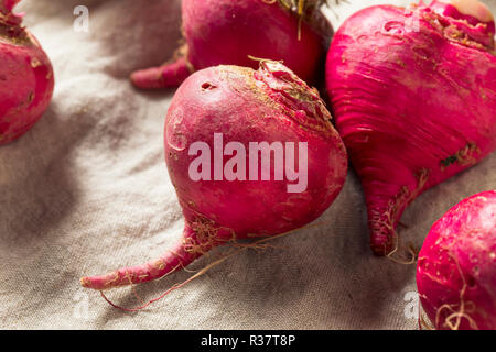 Rosa und Rote Rüben Wurzeln bereit zu Kochen Stockfoto