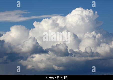 Entstehung von Wolken im blauen Himmel, cluster Wolken cumulus Wolken, Schleswig-Holstein, Deutschland Stockfoto