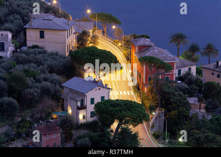 Straße zwischen Häusern und Kiefern verbiegen, bei Nacht, beleuchtet, der Provinz Genua, Italienische Riviera, Riviera di Levante, Ligurien Stockfoto
