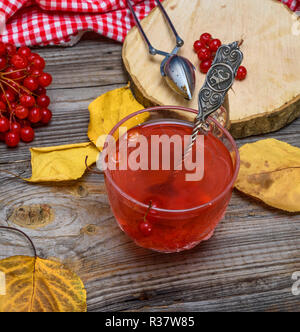 Tee aus viburnum Beeren in eine transparente Schale auf einem grauen Hintergrund Holz, Ansicht von oben Stockfoto
