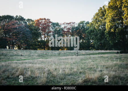 London, UK, 27. Oktober 2018: Person zu Fuß durch das Feld in Hampstead Heath in der Abenddämmerung. Hampstead Heath umfasst 320 Hektar eine von Londons die meisten p Stockfoto