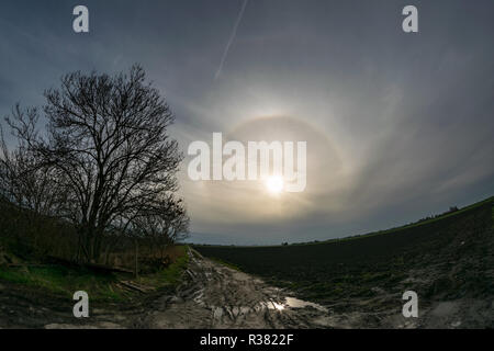Weitwinkelansicht eines hellen 22-Grad-Halos mit oberem Tangentialbogen und parhelia über die niederländische Landschaft. Stockfoto