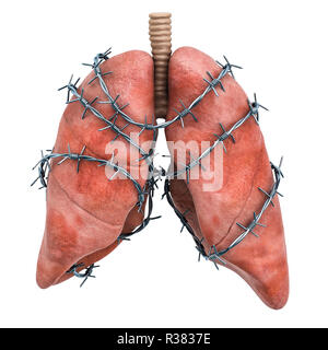 Lungen Schmerzen Konzept. Menschliche lungen mit Stacheldraht. 3D-Rendering auf weißem Hintergrund Stockfoto