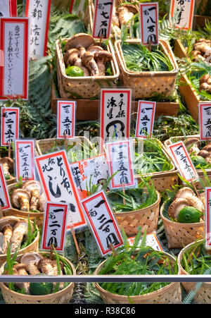 Matsutake Pilze, Pilz, Tricholoma matsutake an Toriichi Shinise Fachgeschäft auf teramachi Straße Kyoto Stockfoto