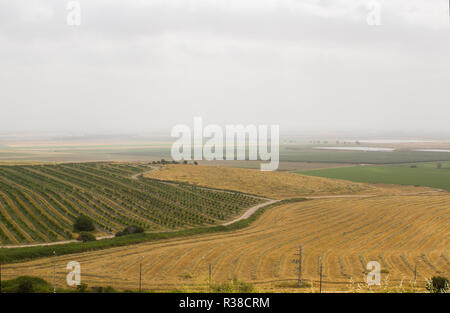 Das fruchtbare Tal von Jesreel von den historischen Tel Megiddo im unteren Galiläa Israel unternommen. Diese Seite von vielen alten Schlachten werden die Website der p Stockfoto