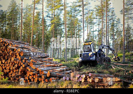 Salo, Finnland - 18. November 2018: Logging site im finnischen Wald im Herbst Sonnenlicht mit Stapel von Birke Wald harvester Ponsse Ergo. Stockfoto