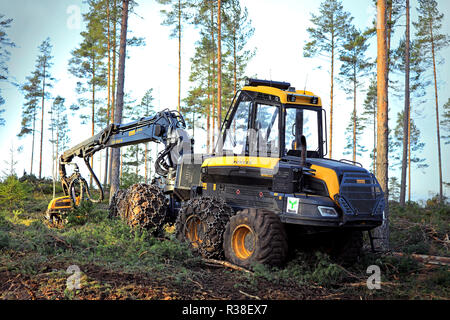 Salo, Finnland - 18. November 2018: Logging site in finnischer Kiefer Wald an einem Tag des Herbstes mit harvester Ponsse Ergo Wald. Filter angewendet. Stockfoto