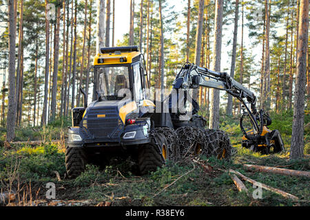 Salo, Finnland - 18. November 2018: Logging site in finnischer Kiefer Wald an einem Tag des Herbstes mit harvester Ponsse Ergo Wald. HDR sehr leicht angewendet. Stockfoto