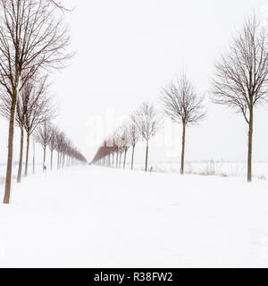 Ein schwerer Schneesturm auf der Straße an einem kalten Wintertag Stockfoto