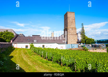 Weinkeller und Weinberge in Rüdesheim am Rhein, Stadt am Rhein, Deutschland Stockfoto