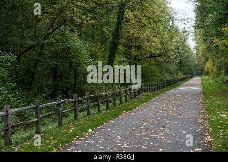 Alten hölzernen Zaun in den Wald entlang Radweg Stockfoto