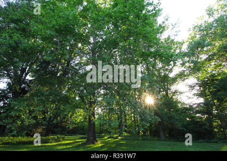 Inniswood Metro Gärten, Westerville, Ohio Stockfoto