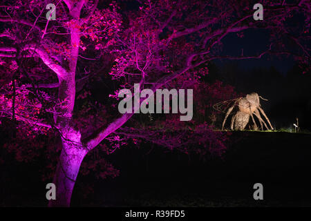 Harrogate, North Yorkshire, UK. 21. November 2018. Wintergarten Beleuchtung drücken Sie die Veranstaltung in RHS Gärten Harlow Carr, Harrogate, North Yorkshire, Vereinigtes Königreich Quelle: Gefangen Light Fotografie begrenzt/Alamy leben Nachrichten Stockfoto