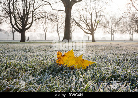 Windsor, Großbritannien. 22. November 2018. Ein starker Frost neben dem langen Spaziergang im Windsor Great Park. Nachdem die kälteste Nacht seit Februar gibt es verbreitet Frost und eisnebel in der Berkshire heute morgen, aber die Temperaturen werden erwartet, um für ein paar Tage vom Morgen mehr normalen Temperaturen für November zu steigen. Credit: Mark Kerrison/Alamy leben Nachrichten Stockfoto