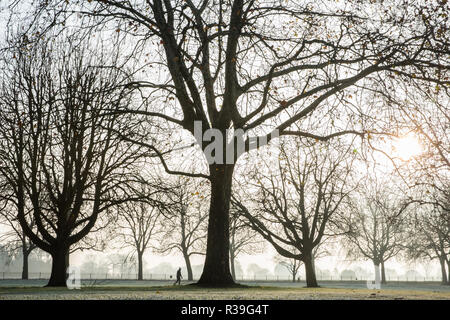 Windsor, Großbritannien. 22. November 2018. Ein starker Frost neben dem langen Spaziergang im Windsor Great Park. Nachdem die kälteste Nacht seit Februar gibt es verbreitet Frost und eisnebel in der Berkshire heute morgen, aber die Temperaturen werden erwartet, um für ein paar Tage vom Morgen mehr normalen Temperaturen für November zu steigen. Credit: Mark Kerrison/Alamy leben Nachrichten Stockfoto