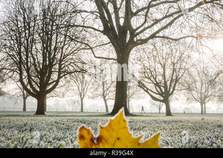 Windsor, Großbritannien. 22. November 2018. Ein starker Frost neben dem langen Spaziergang im Windsor Great Park. Nachdem die kälteste Nacht seit Februar gibt es verbreitet Frost und eisnebel in der Berkshire heute morgen, aber die Temperaturen werden erwartet, um für ein paar Tage vom Morgen mehr normalen Temperaturen für November zu steigen. Credit: Mark Kerrison/Alamy leben Nachrichten Stockfoto