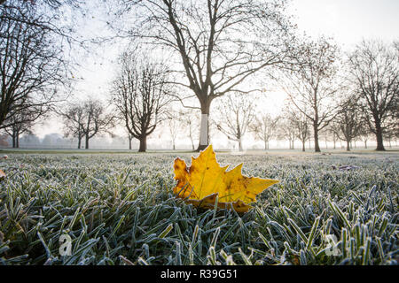 Windsor, Großbritannien. 22. November 2018. Ein starker Frost neben dem langen Spaziergang im Windsor Great Park. Nachdem die kälteste Nacht seit Februar gibt es verbreitet Frost und eisnebel in der Berkshire heute morgen, aber die Temperaturen werden erwartet, um für ein paar Tage vom Morgen mehr normalen Temperaturen für November zu steigen. Credit: Mark Kerrison/Alamy leben Nachrichten Stockfoto