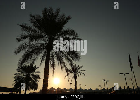 Abu Dhabi, VAE. 22. Nov 2018. Abu Dhabi, VAE Sport Formel 1 Grand Prix von Abu Dhabi 2018 Im Pic: Atmosphäre: LaPresse/Alamy leben Nachrichten Stockfoto