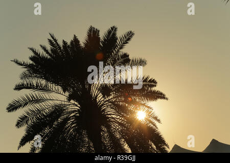 Abu Dhabi, VAE. 22. Nov 2018. Abu Dhabi, VAE Sport Formel 1 Grand Prix von Abu Dhabi 2018 Im Pic: Atmosphäre: LaPresse/Alamy leben Nachrichten Stockfoto