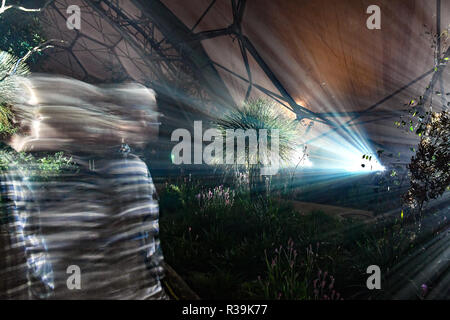 Eden Project, Cornwall, UK. 22. November 2018. Die Schatten und Licht affter dunkle Erfahrung beginnt für die Weihnachtszeit dieses Wochenende am Eden Project: Simon Maycock/Alamy leben Nachrichten Stockfoto