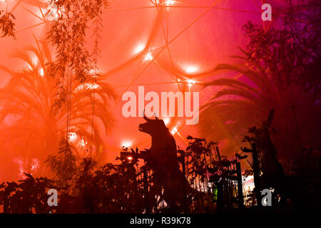 Eden Project, Cornwall, UK. 22. November 2018. Die Schatten und Licht affter dunkle Erfahrung beginnt für die Weihnachtszeit dieses Wochenende am Eden Project: Simon Maycock/Alamy leben Nachrichten Stockfoto