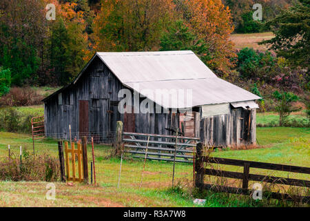 Alte verwitterte Holz- Scheune auf einem Hügel in den Ozark Mountains von Arkansas, im Herbst Farben umgeben Stockfoto