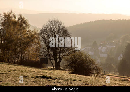 Berge im Taunus im Morgenlicht. Stockfoto