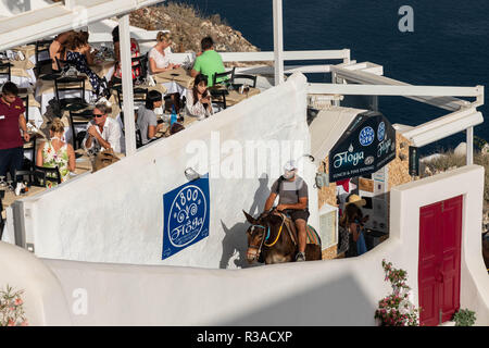 Mule Train und TrainerTourist nach oben, um die 600 Schritte vom Alten Hafen von oben auf das Dorf Oia. Die touristische und Lieferungen ist eine tägliche Routine. Stockfoto