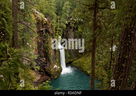 Oder 02458-00 ... OREGON - Toketee fällt durch Bäume und Basaltsäulen auf dem Clearwater River in Umpqua National Forest umgeben. Stockfoto