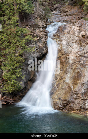 Obere Priester Fluss fällt, auch als American Falls, Selkirk Mountains, Idaho bekannt. Stockfoto