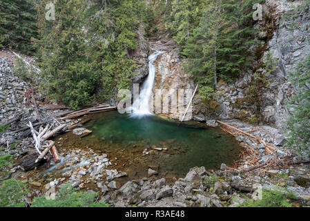 Obere Priester Fluss fällt, auch als American Falls, Selkirk Mountains, Idaho bekannt. Stockfoto