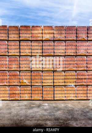 Große Menge und vielen hohen Stapel von orange Backsteine in Lagerung und bereit für den Versand in den Bauherren unter einem blauen Himmel und auf dem schwarzen Asphalt Stockfoto